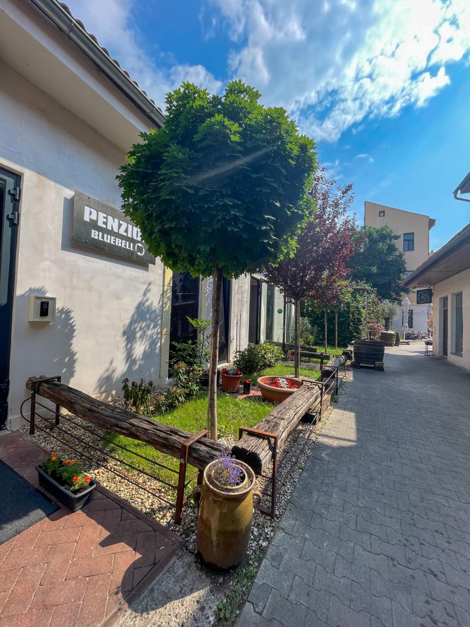 Blue Bell Penzion Kosice Exterior photo