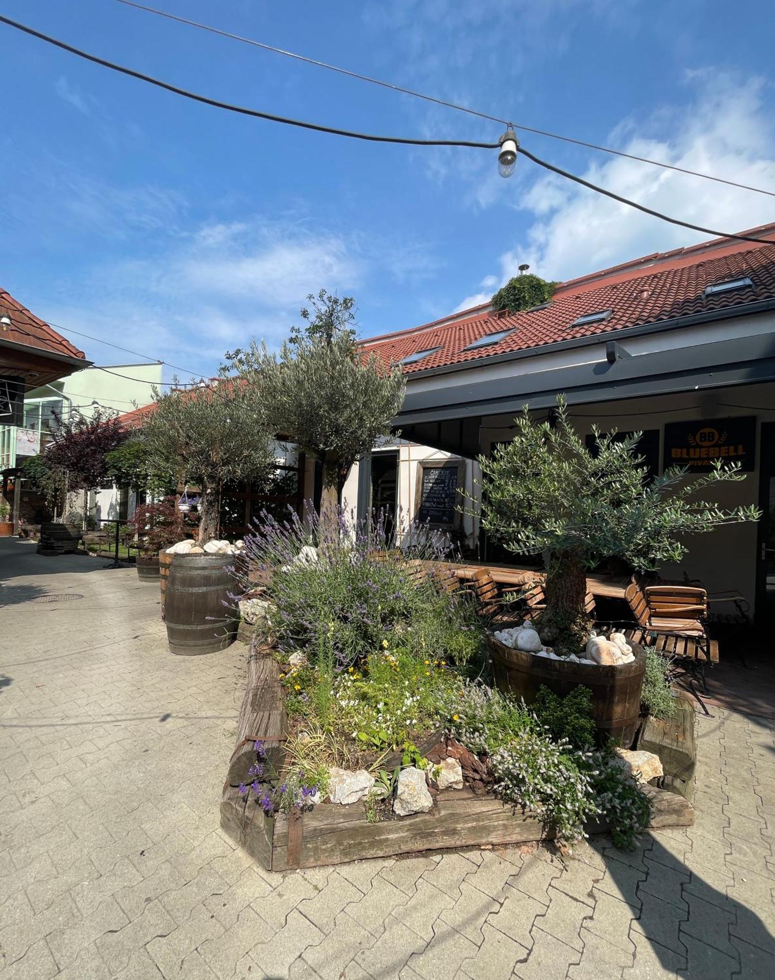 Blue Bell Penzion Kosice Exterior photo